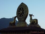 Колесо Дхармы на крыше храма Джоканг
