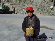 Тибетские абрикосы